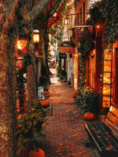 an alley way with pumpkins on the ground and lights in the trees above it