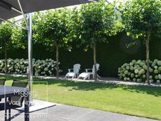 an outdoor patio area with lawn chairs and trees