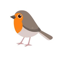 an orange and gray bird on a white background royalty illustration