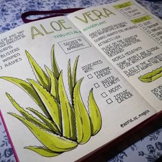 an open notebook with aloe vera on the page and instructions for how to use it