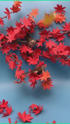 red and orange paper flowers on a blue background with one bird in the foreground