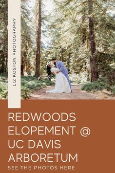 redwoods, elopement and u c davis's arboretum see the photos here