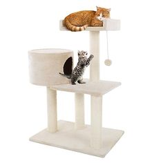 two cats sitting on top of a cat tree