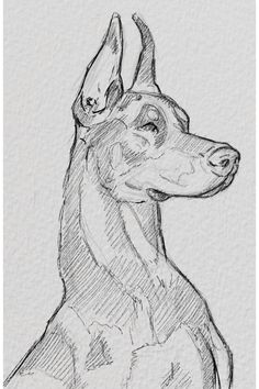 a drawing of an egyptian dog sitting down