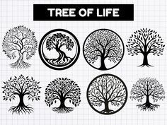 the tree of life is depicted in black and white