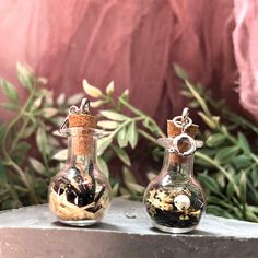 two small glass vases with plants in them