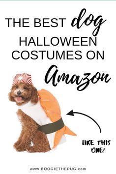 the best dog halloween costumes on amazon are you looking for an easy diy costume?