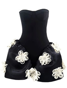 Strapless Corset Floral A Line Dress Black -

Color: Black
Strapless design
Sleeveless
Bustier detail
Floral detail

Style: homecoming dresses, hoco dresses, fall 2024 fashion trends, fall fashion 2024, fall outfits, fall outfits 2024, fall fashion, fall outfit inspo 2024, fall outfits women, dress to impress, september outfits, easy fall outfits, fall going out outfits, black dresses, strapless dresses, corset dresses, a line dresses, skater dresses, little black dresses, floral dresses, lbd A Line Dress Black, Floral A Line Dress, September Outfits, Birthday 22, Long Sleeve Bandage Dress, Dresses Hoco, Corset Dresses, Dresses Corset, Puffy Skirt