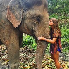 a woman standing next to an elephant in the jungle