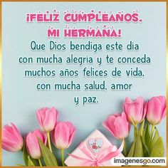 pink tulips are in front of a blue background with the words, feliz cumpleanos mi hermana