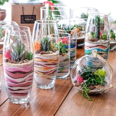 there are many glass vases with plants in them on the wooden table and one has succulents