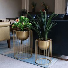 two metal planters with plants in them sitting on a carpeted floor next to couches