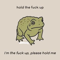 a frog with the words hold the f k up