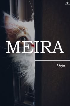 a white and orange cat looking out a window with the words merra on it