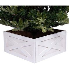 a white planter with a tree in it