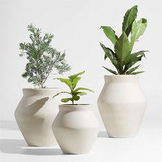 three white vases with plants in them