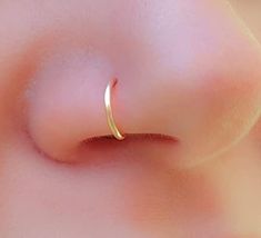 a close up view of a nose with a gold ring on it's side