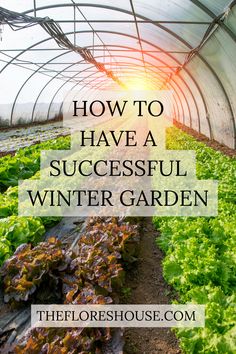 a greenhouse with lettuce growing inside and the words how to have a successful winter garden