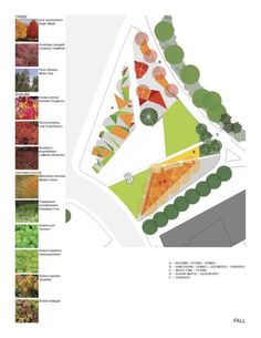 a diagram showing the various types of trees and shrubs in an area with different colors