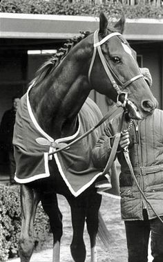 black and white photograph of a man leading a horse