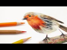 a bird sitting on top of a piece of paper next to colored pencils