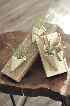 two white planters sitting on top of a wooden table next to another potted plant