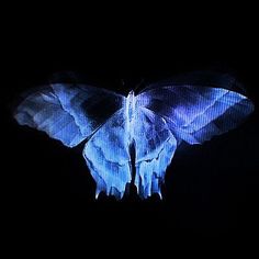 a blue butterfly is glowing in the dark