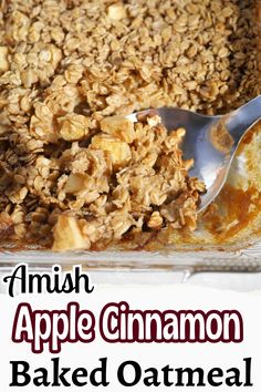 an apple cinnamon baked oatmeal in a baking dish