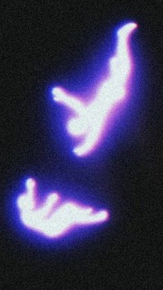 two birds flying in the night sky