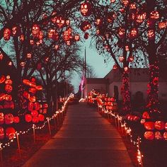 the walkway is decorated with pumpkins and lights