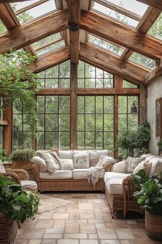 a living room filled with lots of furniture and plants on top of it's windows