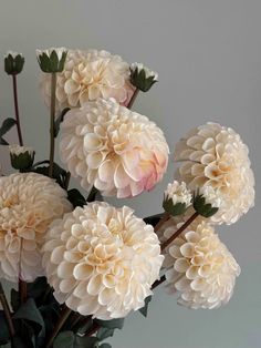 a vase filled with white flowers on top of a table