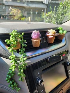 three succulents are placed on the dashboard of a car, with an air vent