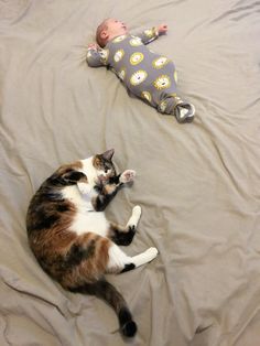 a cat laying on top of a bed next to a baby