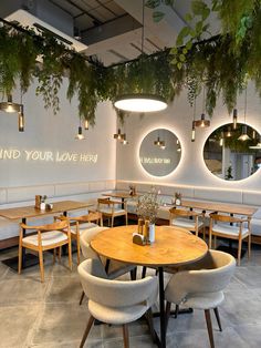 the inside of a restaurant with wooden tables and white chairs, plants hanging from the ceiling