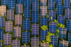 an aerial view of many rows of solar panels on the ground, with trees in the background