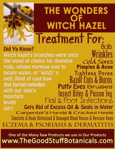 Witch Hazel Benefits Uses For Witch Hazel, Witch Hazel Uses, Beauty And Health, Witch Hazel, Homeopathy, Natural Medicine, Herbal Medicine