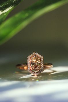 A one-of-a-kind champagne diamond engagement ring from Staghead Designs sits on a windowsill. This 14K rose gold engagement ring features an 8x6mm oval cut champagne diamond center stone & a geometric elongated hexagon-shaped diamond halo. Hexagon Halo Ring, Whiskey Barrel Wedding Ring, Hexagon Halo, Antler Wedding Rings, Champagne Diamonds Engagement, Unique Engagement Rings Rose Gold, Champagne Diamond Rings, Engagement Ring Mountings, Handcrafted Engagement Ring