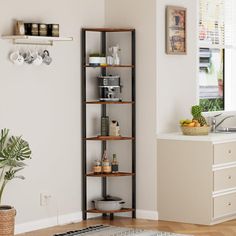 a corner shelf in the middle of a living room next to a potted plant