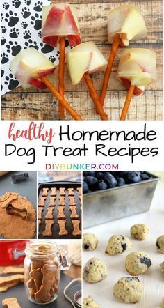 healthy homemade dog treat recipe collage