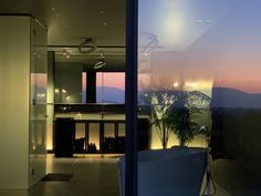 an open room with a large plant in the center and a view out the window