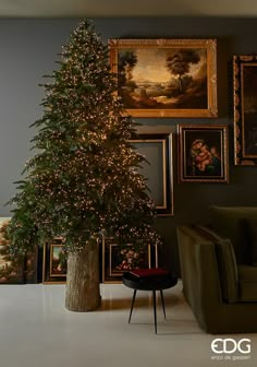 a christmas tree in a living room with pictures on the wall