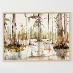 a watercolor painting of trees and swamps in the woods with reflections on the water