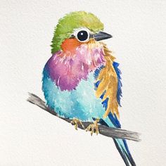 a watercolor painting of a colorful bird sitting on a branch