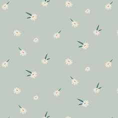 a blue background with white daisies on it