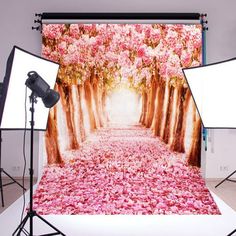 a photo shoot with pink flowers on the ground in front of a camera and lighting equipment