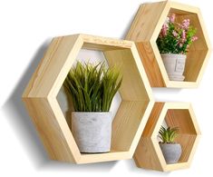 three wooden hexagonal shelves with plants in them