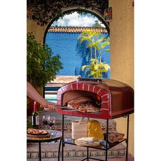 Talavera Clay Freestanding Wood Burning Pizza Oven in Reddish Brown Fireplace Oven, Pool Patio Designs, Wood Burning Pizza Oven, Outdoor Cooker, To Build A Fire, Wood Pellet Grills, Yard And Garden, Pizza Oven Outdoor, Brick Oven