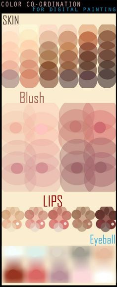 the different shades of lipstick are shown in this graphic style, including pinks and browns