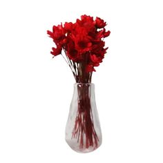 red flowers in a clear vase on a white background